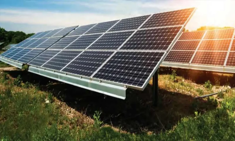 India Strengthens Clean Energy Ties with Indo-Pacific Nations through Solar Projects